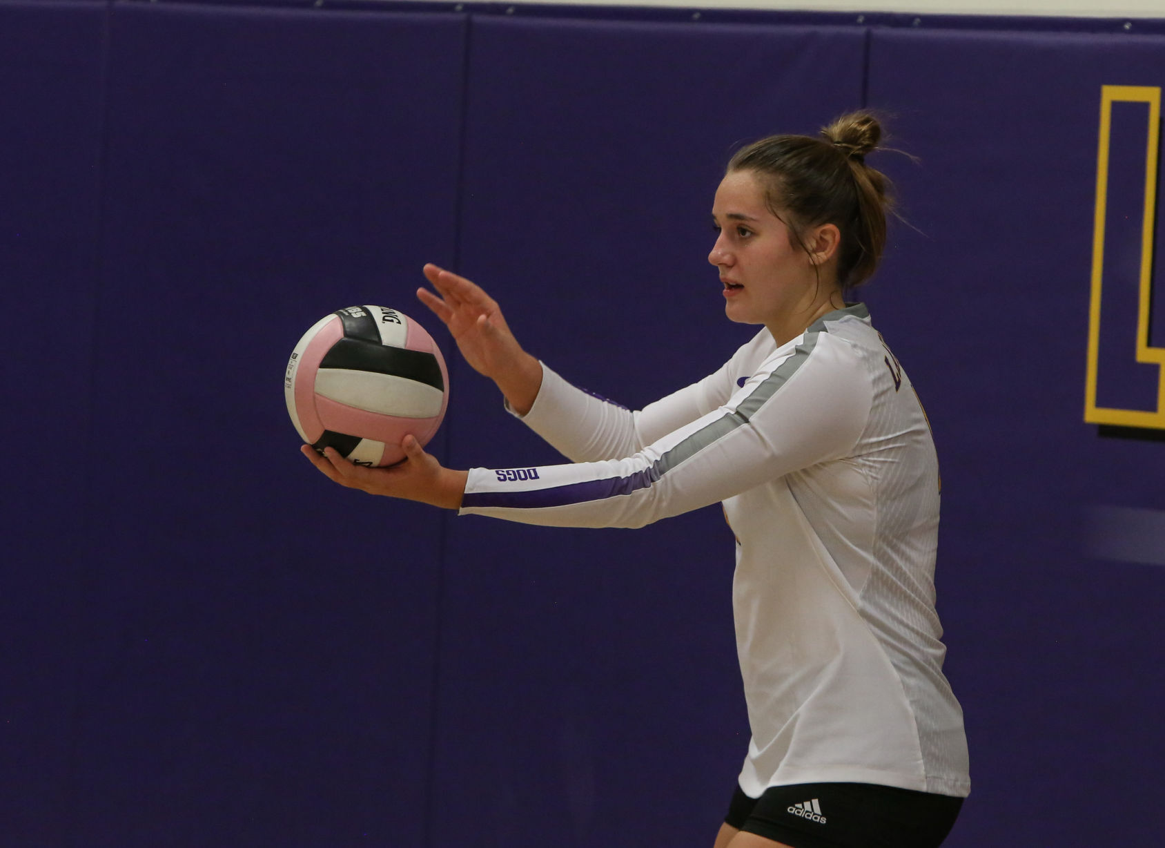 Lake Mills volleyball vs Central Springs - Greenfield